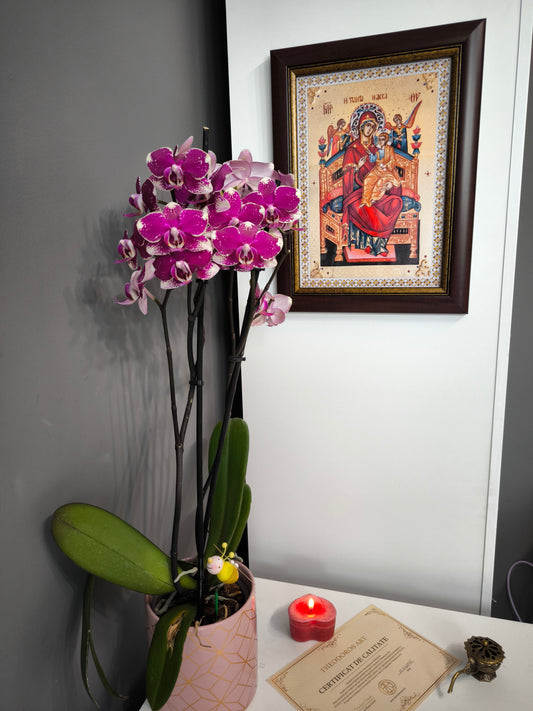 ICOANA  MAICA DOMNULUI PANTANASSA  replica print icoana originala Theodoros Art